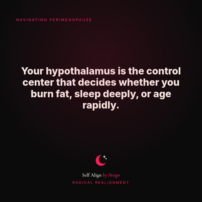 Your hypothalamus is the control center that decides whether you burn fat, sleep deeply, or age rapidly.