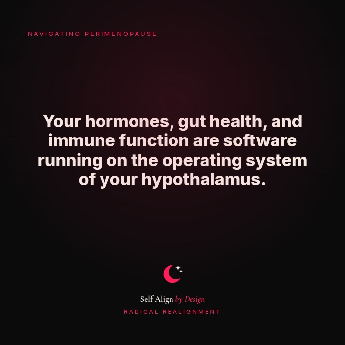Your hormones, gut health, and immune function are software running on the operating system of your hypothalamus.