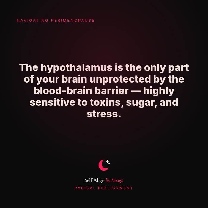 The hypothalamus is the only part of your brain unprotected by the blood-brain barrier, highly sensitive to toxins, sugar, and stress.