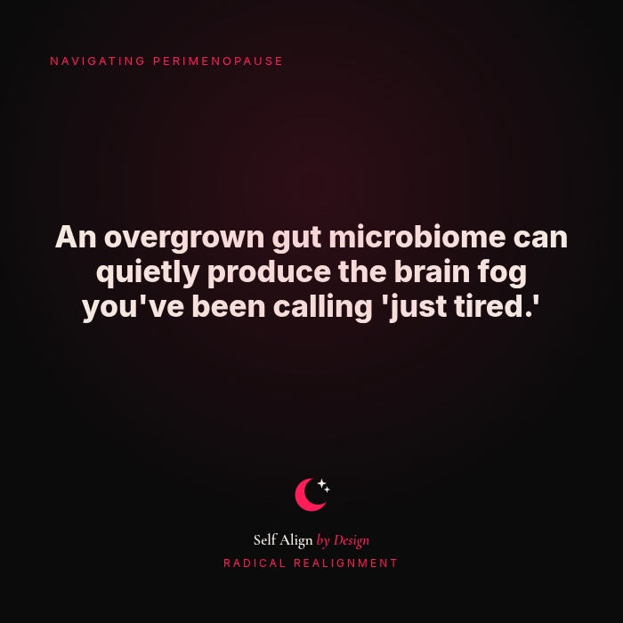 An overgrown gut microbiome can quietly produce the brain fog you've been calling 'just tired.'
